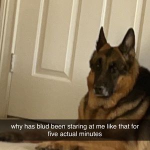 Meet your Posher, Kavya